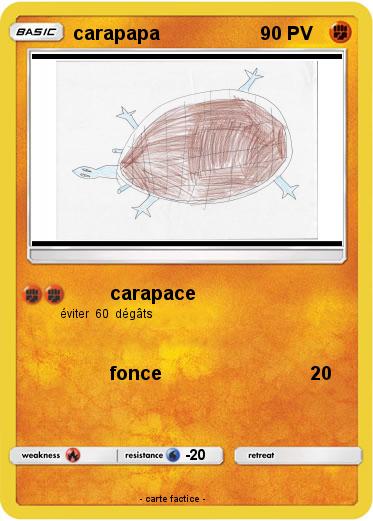 Pokemon carapapa