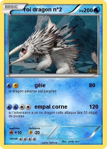Pokemon roi dragon n°2