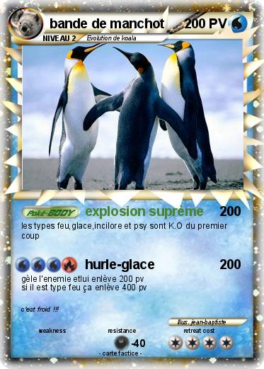 Pokemon bande de manchot