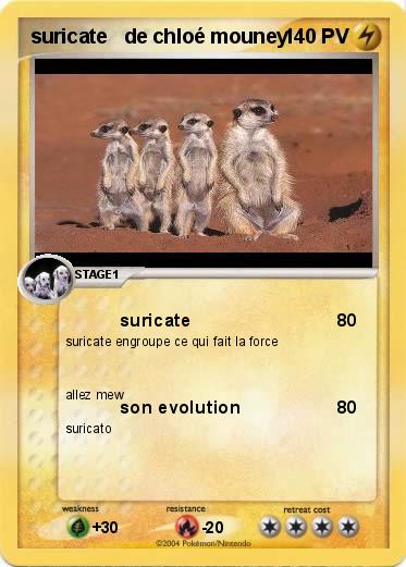 Pokemon suricate   de chloé mouney
