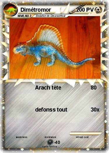 Pokemon Dimétromor