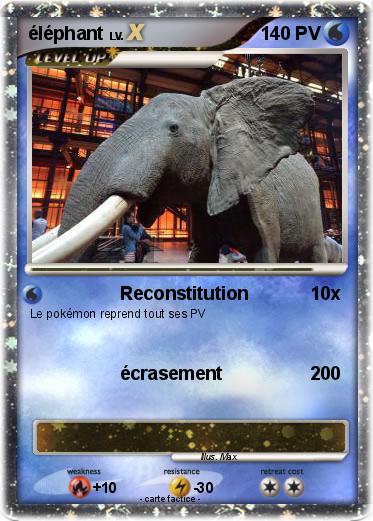 Pokemon éléphant