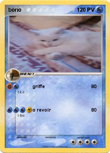 Pokemon bono