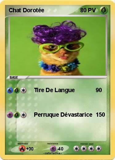 Pokemon Chat Dorotée
