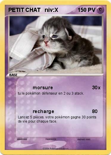 Pokemon PETIT CHAT   niv:X