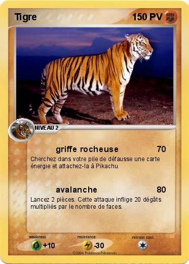 Pokemon Tigre  