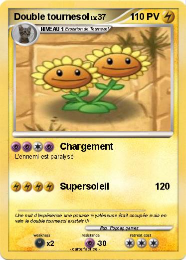 Pokemon Double tournesol