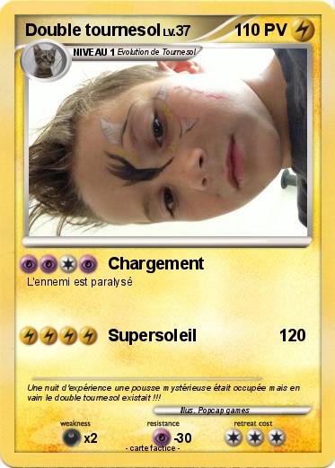 Pokemon Double tournesol