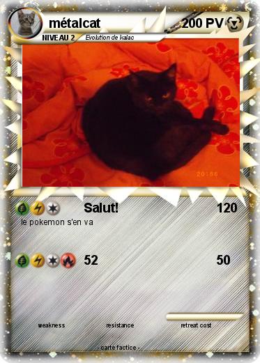 Pokemon métalcat