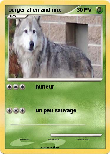 Pokemon berger allemand mix