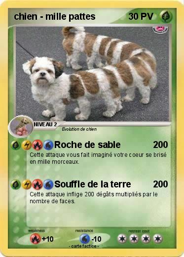 Pokemon chien - mille pattes