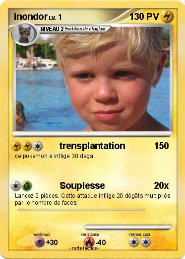 Pokemon inondor