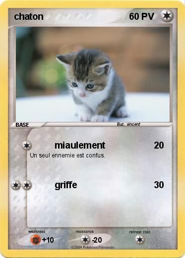 Pokemon chaton