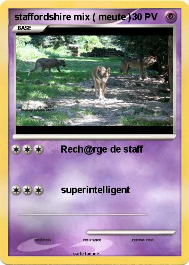 Pokemon staffordshire mix ( meute )