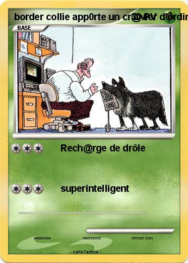 Pokemon border collie app0rte un cr@vier d'ordinateur