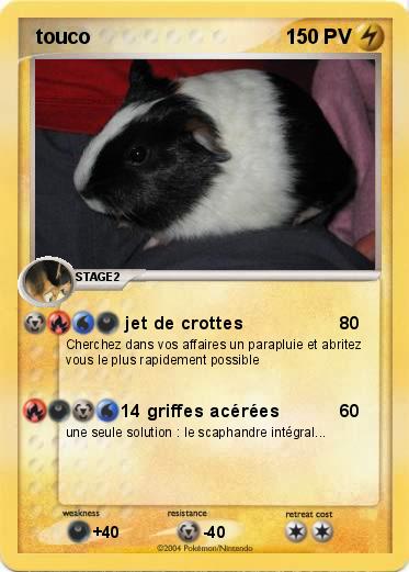 Pokemon  touco
