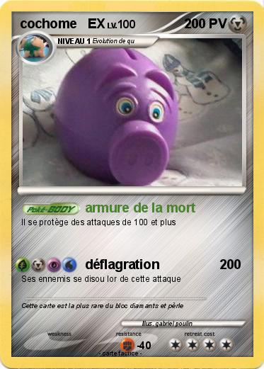 Pokemon cochome   EX