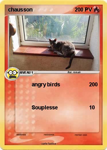 Pokemon chausson