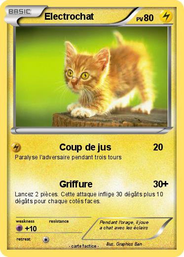 Pokemon Electrochat