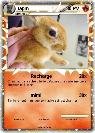 Pokemon lapin