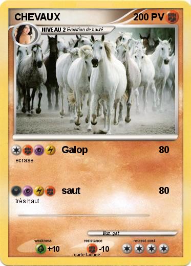Pokemon CHEVAUX