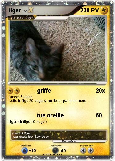Pokemon tiger