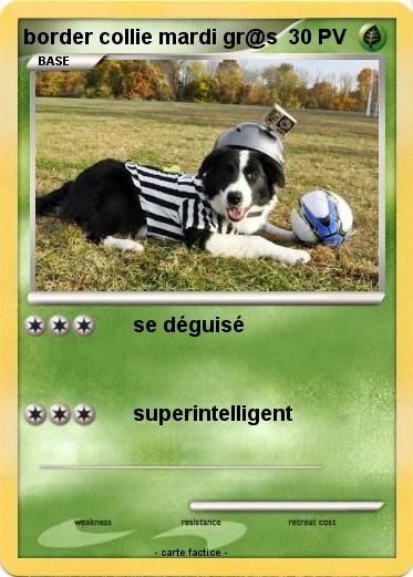 Pokemon border collie mardi gr@s