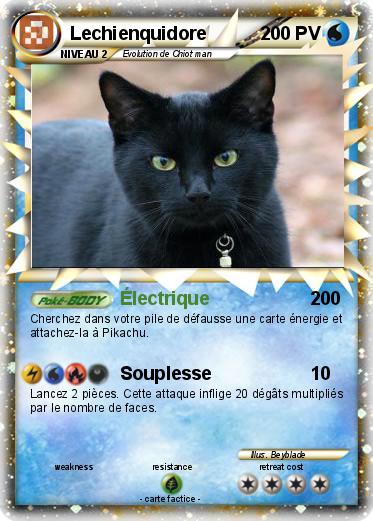 Pokemon Lechienquidore