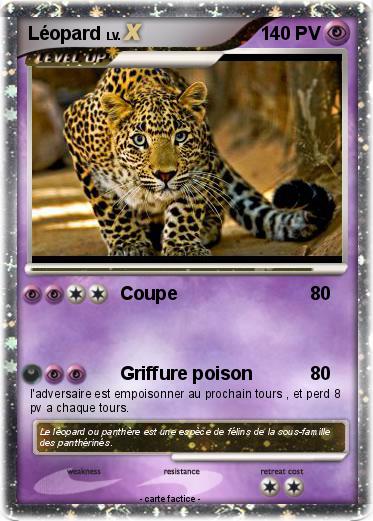 Pokemon Léopard