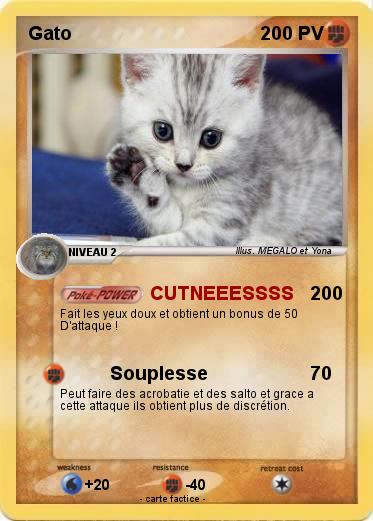 Pokemon Gato