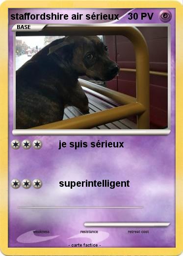 Pokemon staffordshire air sérieux