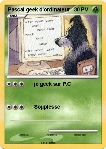 Pokemon Pascal geek d'ordinateur