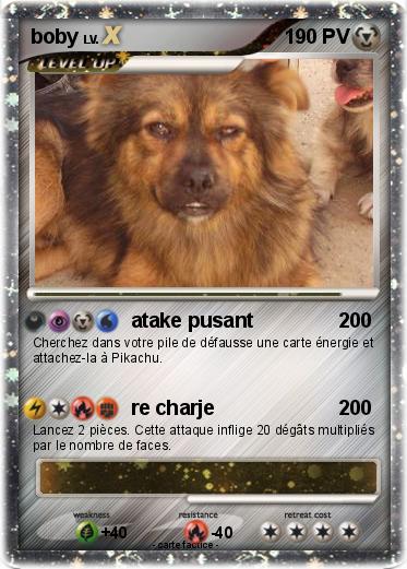 Pokemon boby