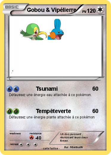 Pokemon Gobou & Vipélierre