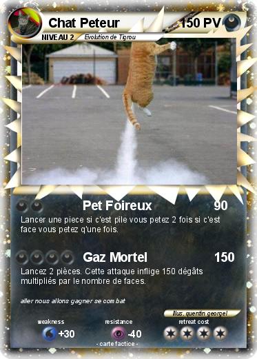 Pokemon Chat Peteur