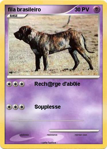 Pokemon fila brasileiro