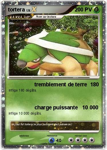 Pokemon tortera