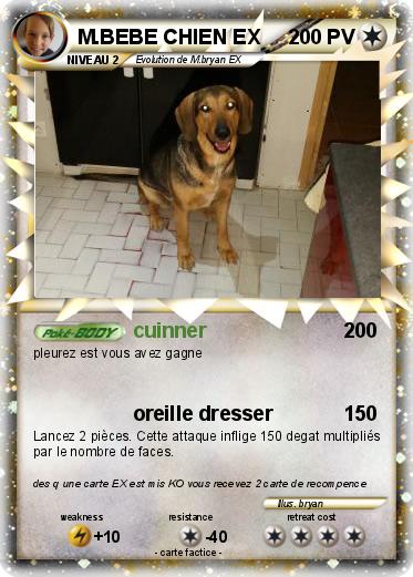 Pokemon M.BEBE CHIEN EX