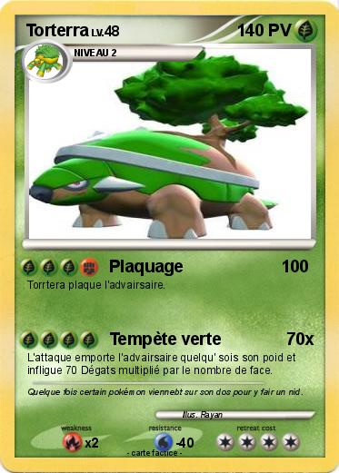Pokemon Torterra