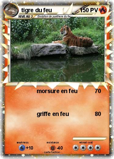 Pokemon tigre du feu