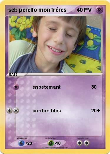 Pokemon seb perello mon fréres