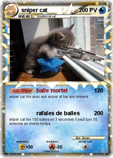 Pokemon sniper cat
