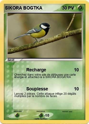 Pokemon SIKORA BOGTKA