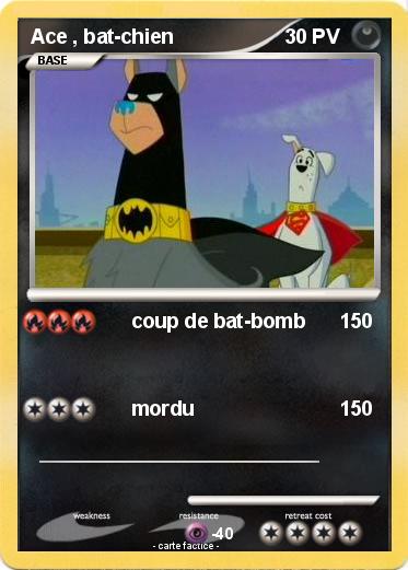 Pokemon Ace , bat-chien