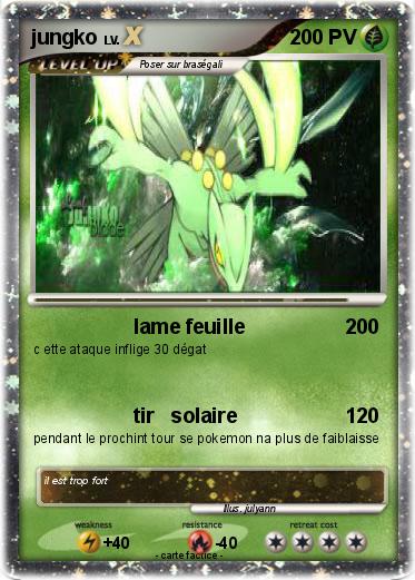 Pokemon jungko
