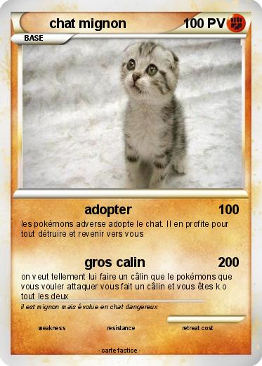 Pokemon chat mignon