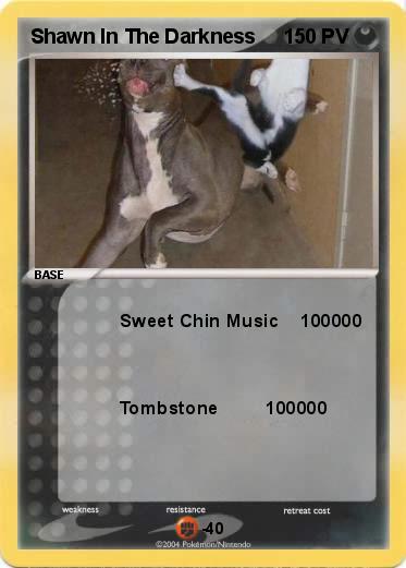 Pokemon Shawn In The Darkness