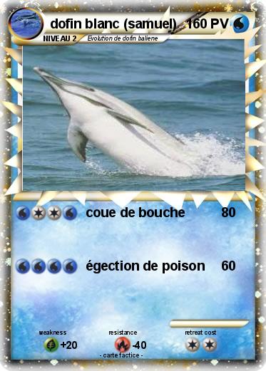 Pokemon dofin blanc (samuel)