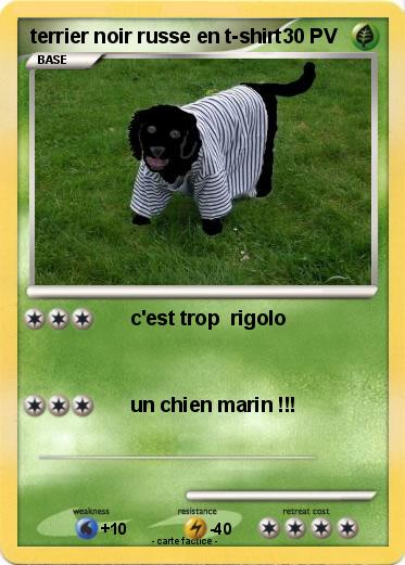 Pokemon terrier noir russe en t-shirt