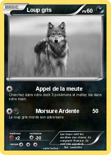 Pokemon Loup gris